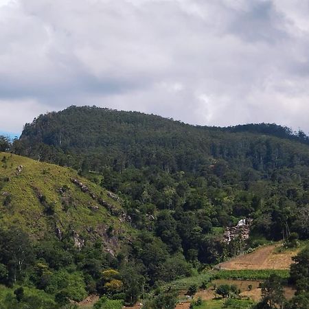 Rose Dale Homestay Ella Kültér fotó