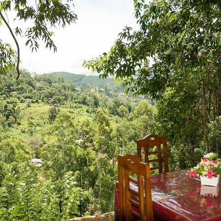 Rose Dale Homestay Ella Kültér fotó