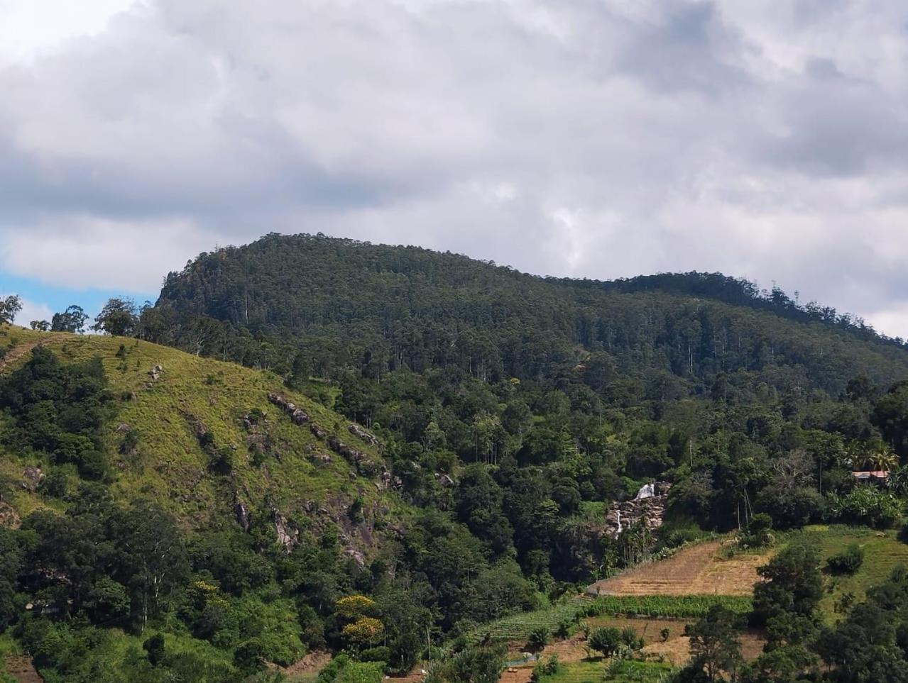 Rose Dale Homestay Ella Kültér fotó